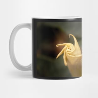 Sacred Datura Bud Unfurling Mug